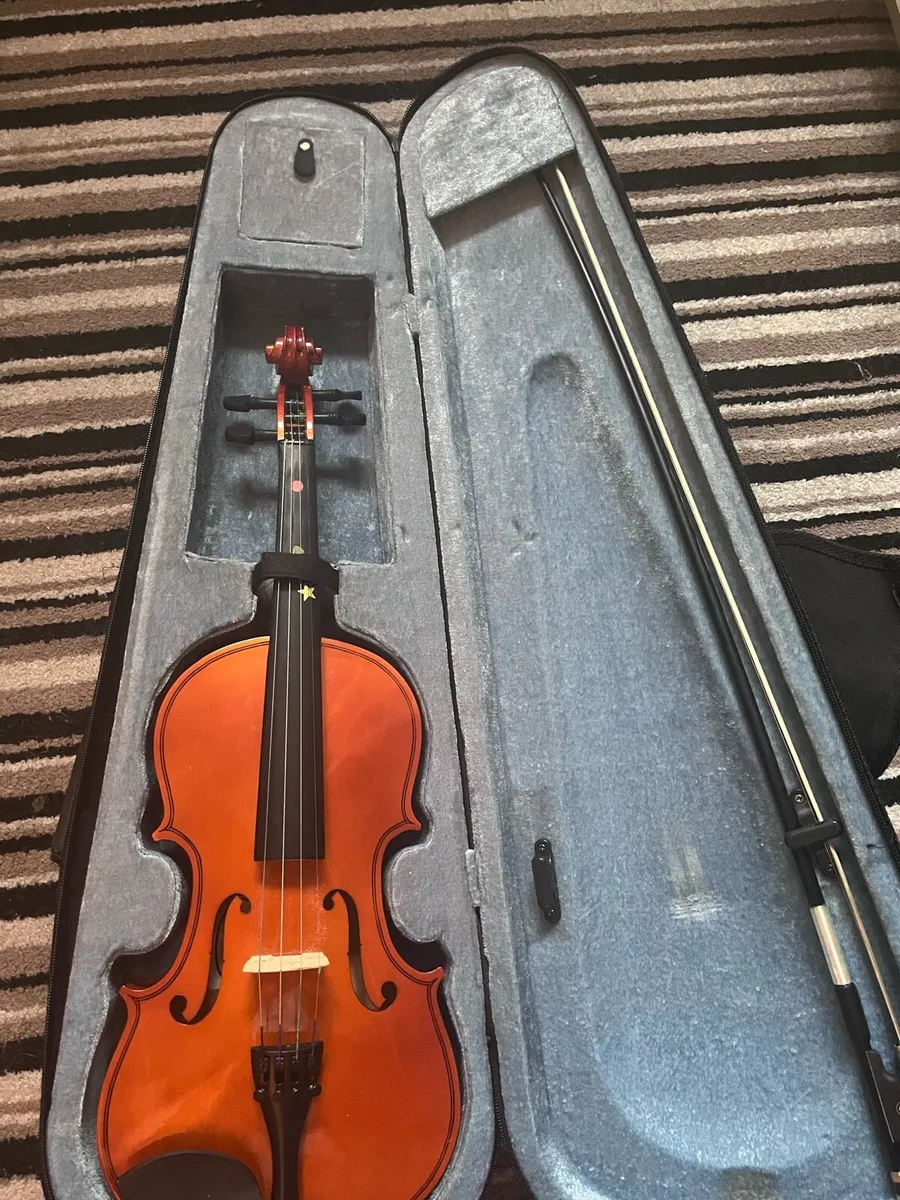 Violin