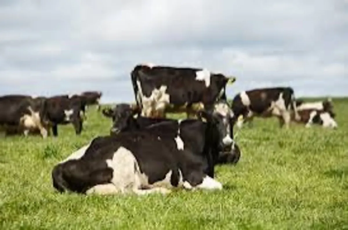 Milker - Dairy Farm Worker