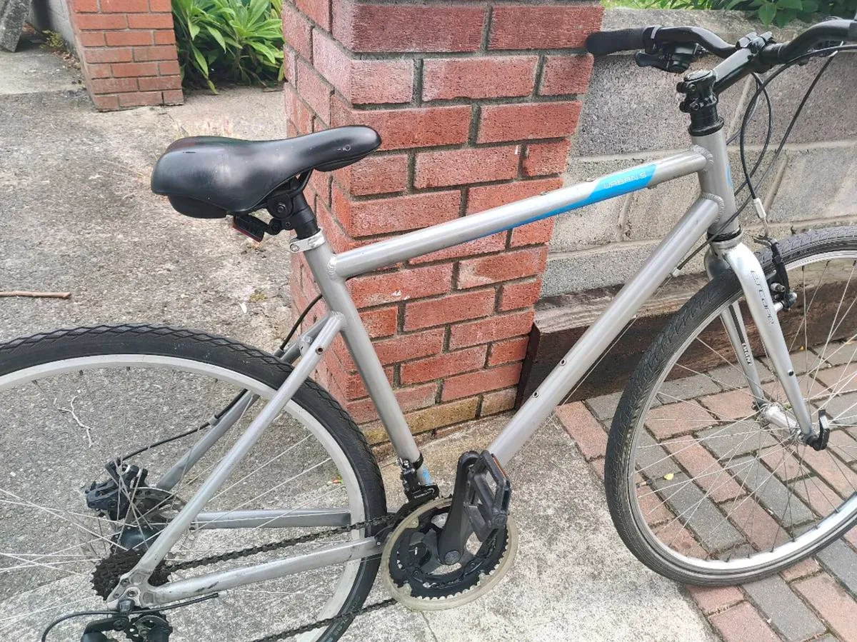 Adult bike - Image 2