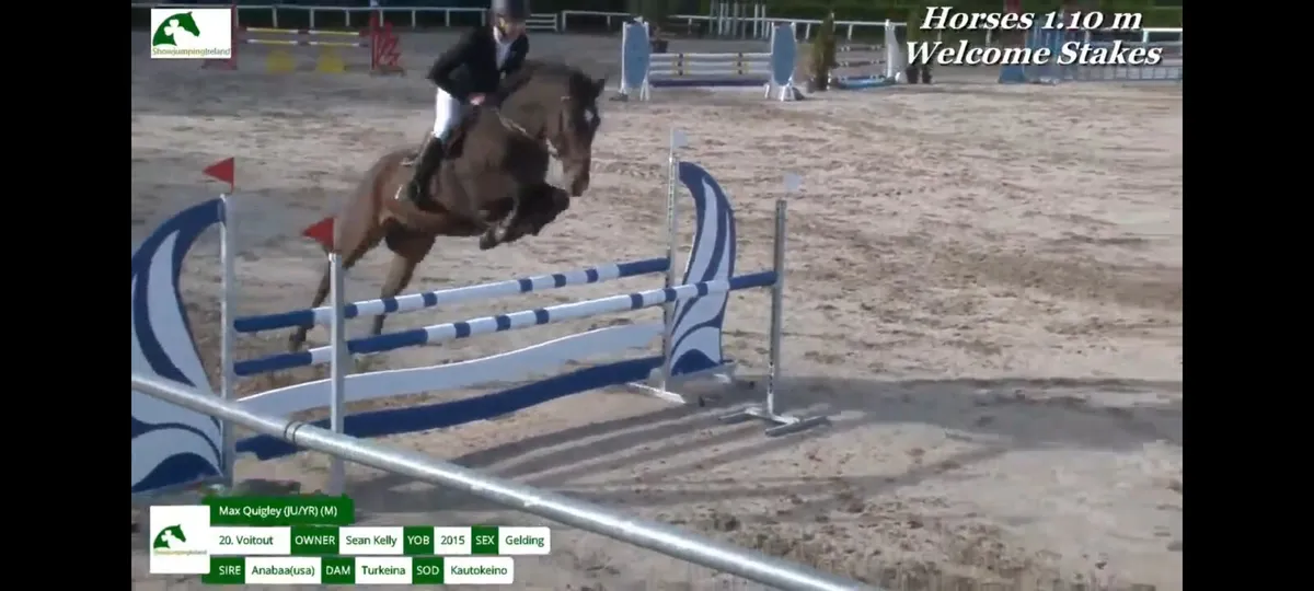 Show jumper - Image 1
