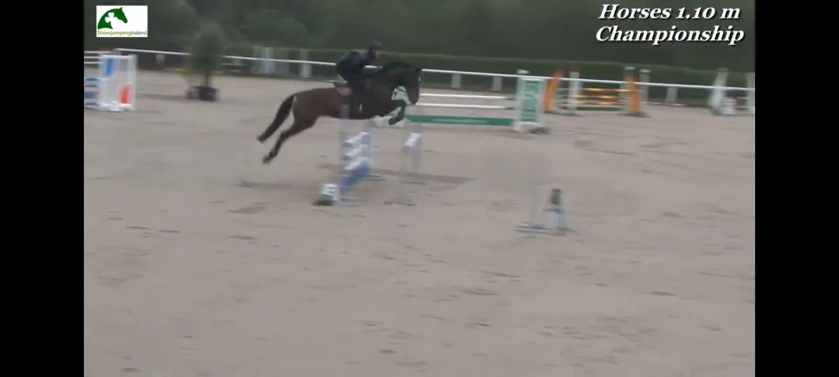 Show jumper - Image 4