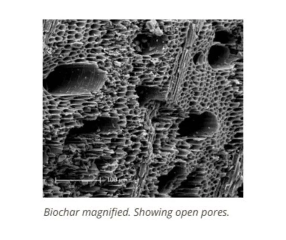 Premium wood-based Biochar - Image 2
