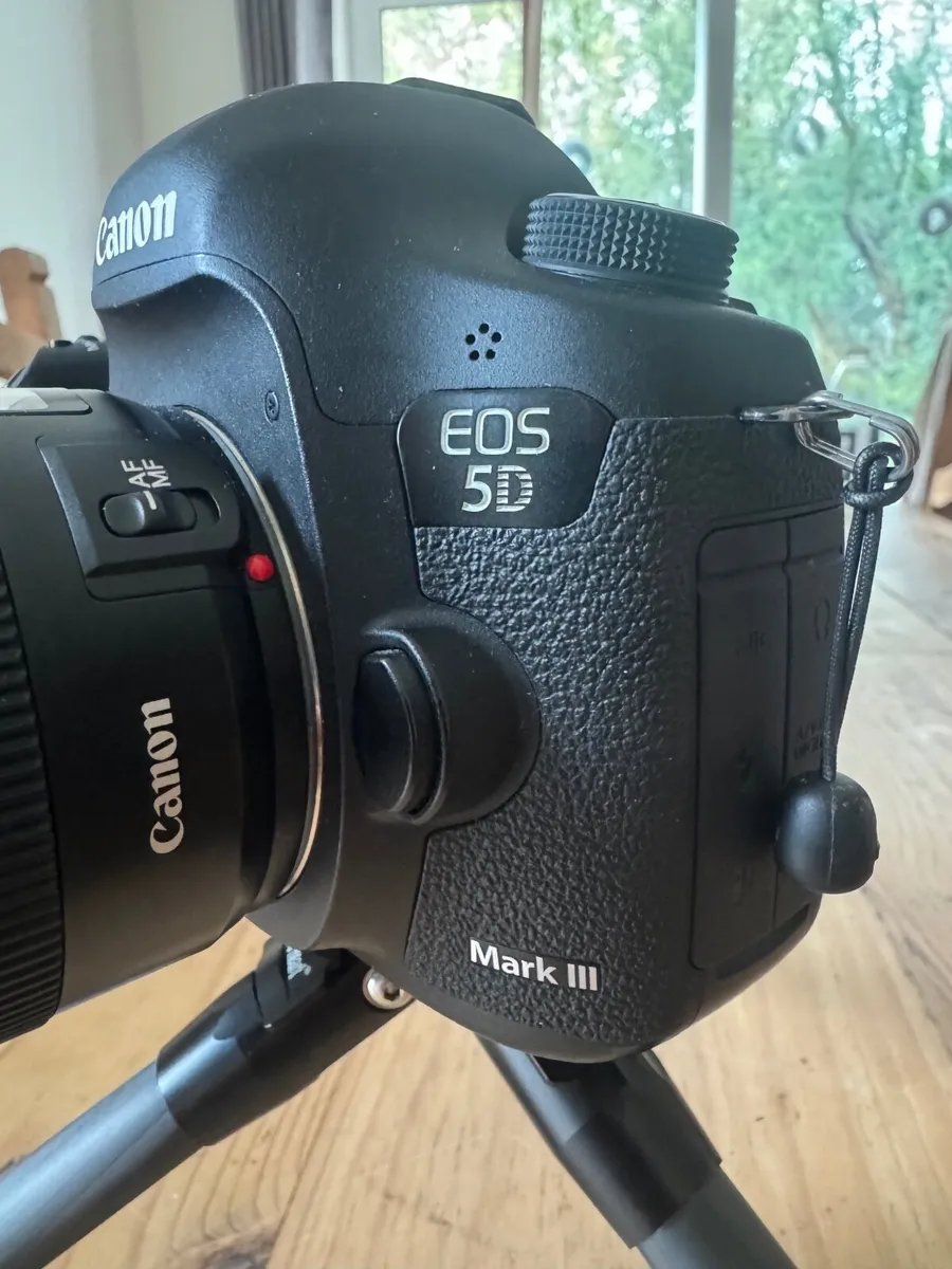 Canon EOS 5D MK3 - Image 3