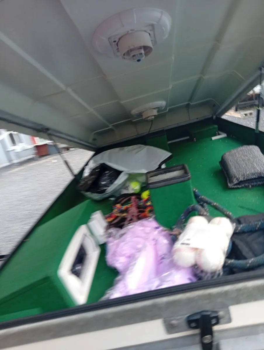 Dog trailer - Image 2