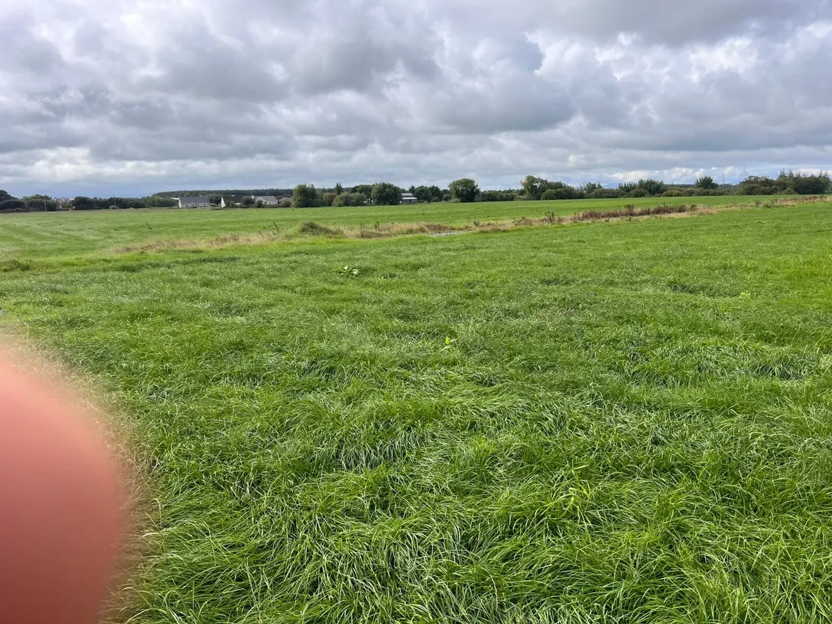Silage bales - Image 3