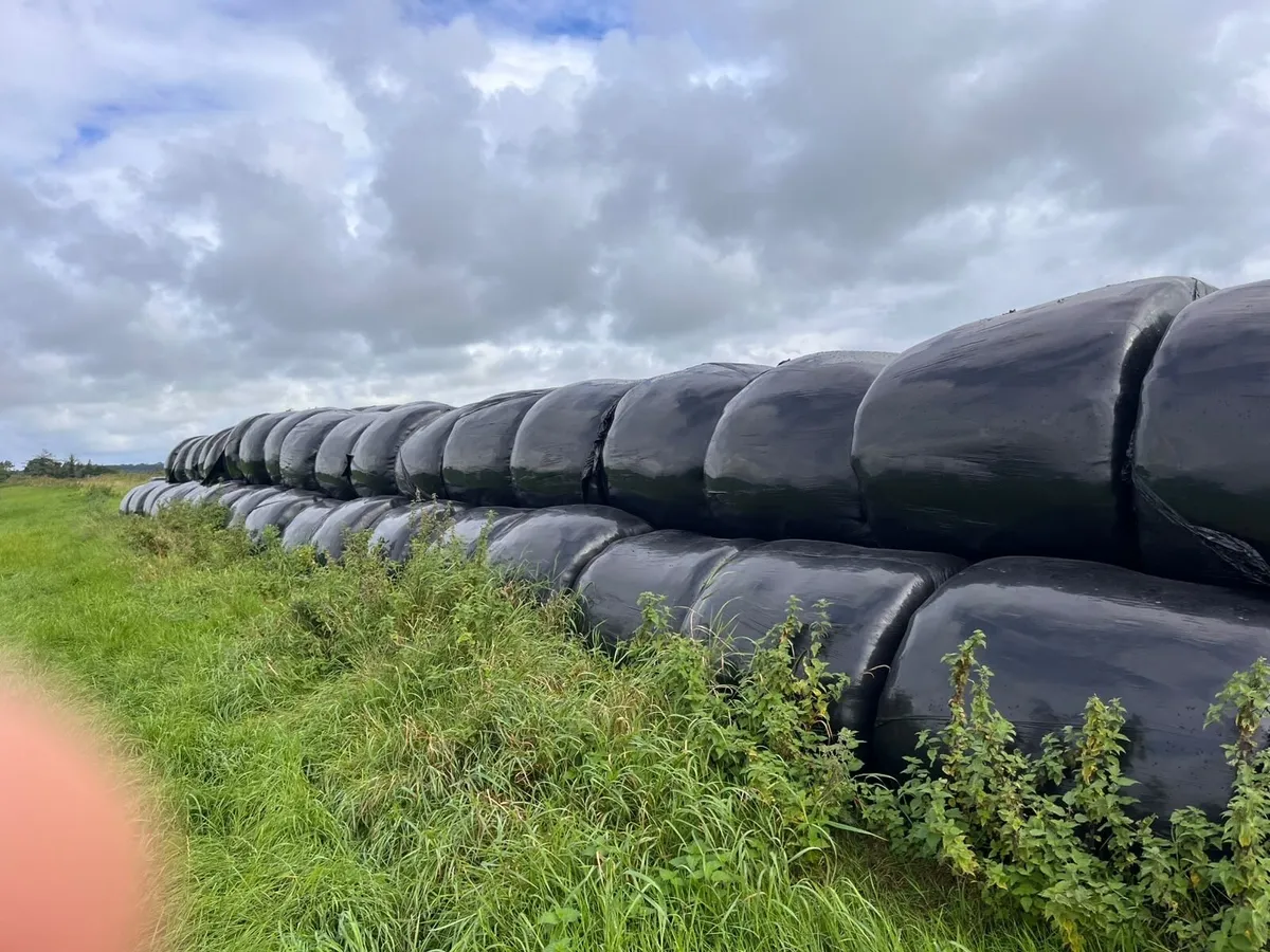 Silage bales - Image 1