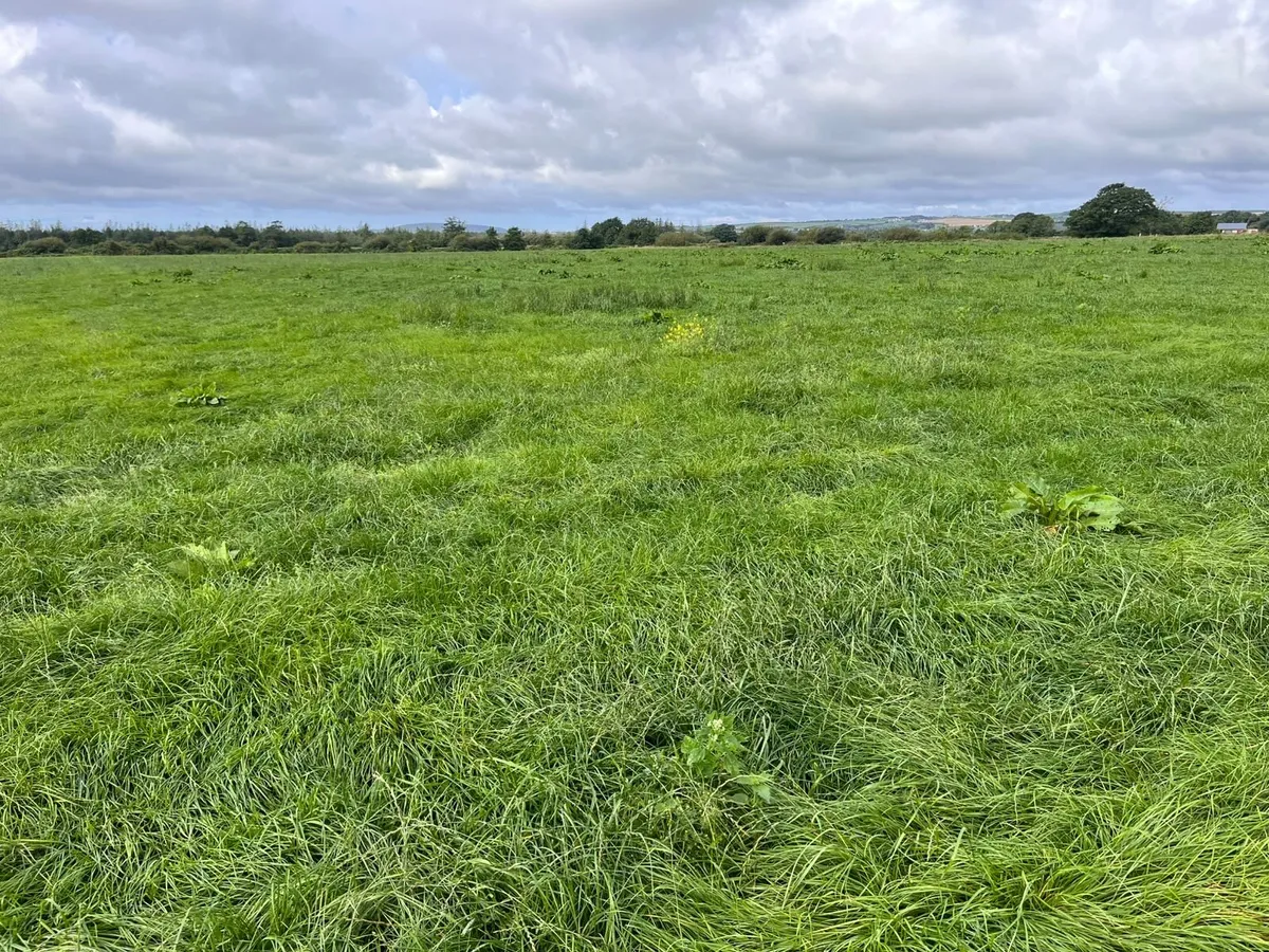 Silage bales - Image 2