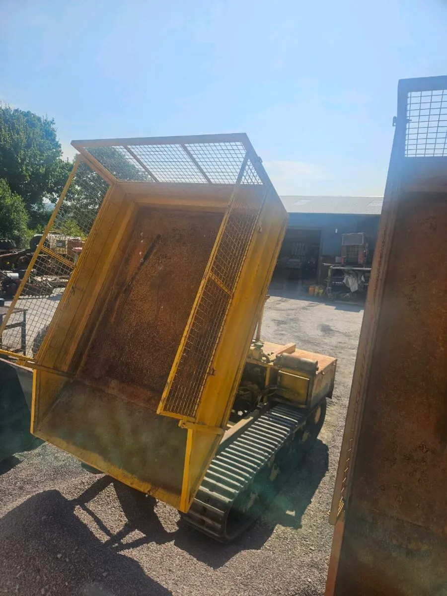 Track dumpers - Image 2