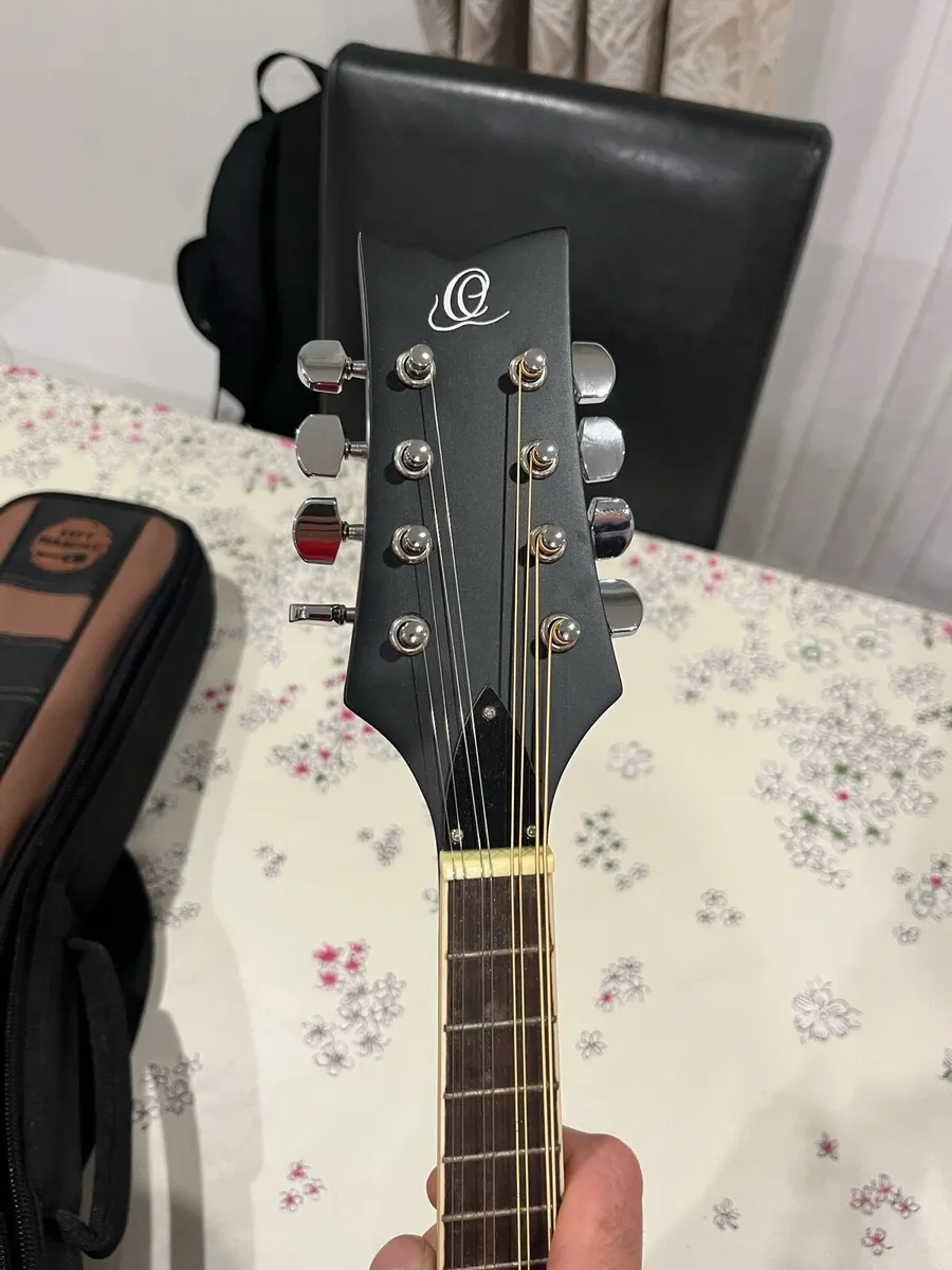 Mandolin - Image 4