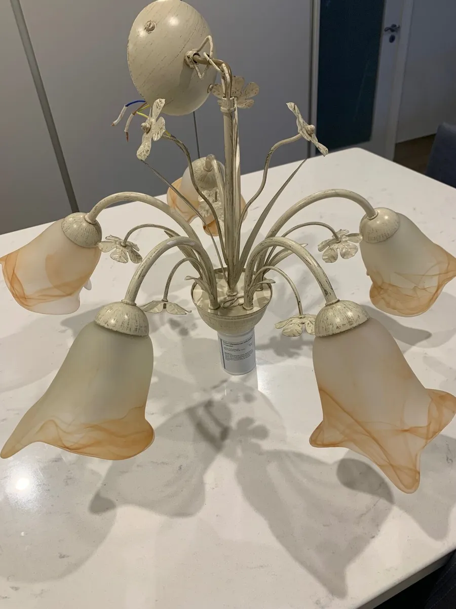Glass Light Fitting - Image 4