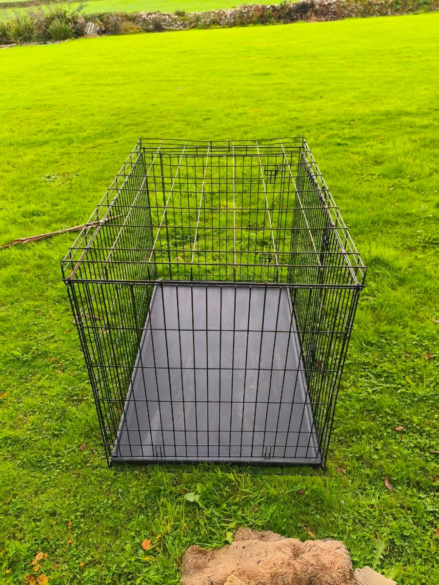 Large XL large cage like new - Image 3