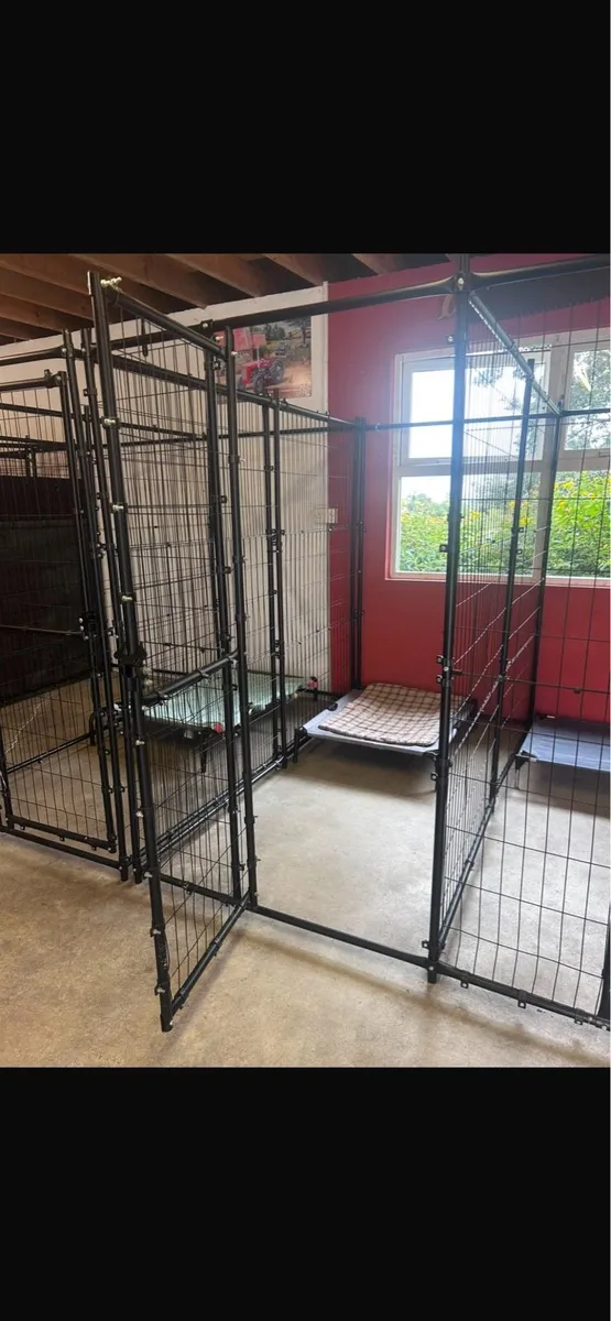 Dog kennels - Image 4