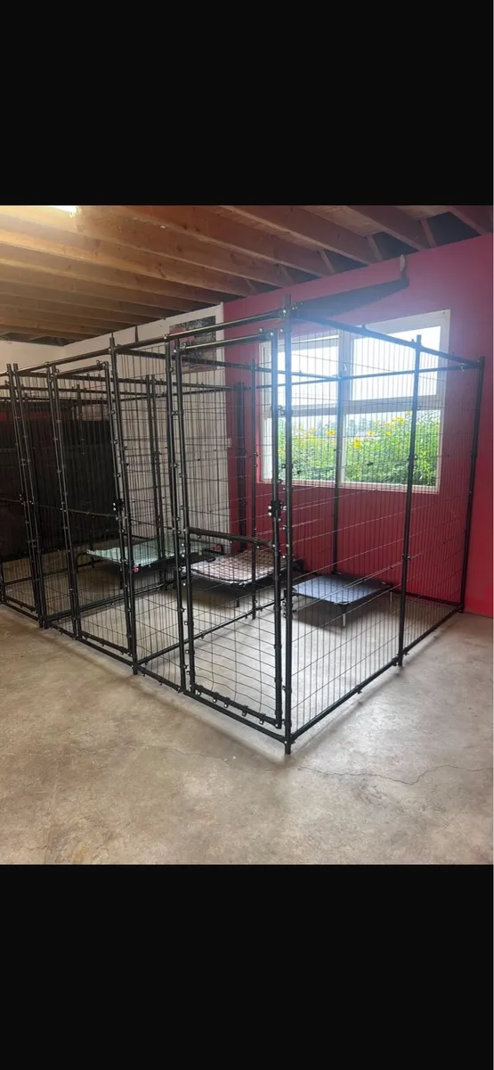 Dog kennels - Image 2