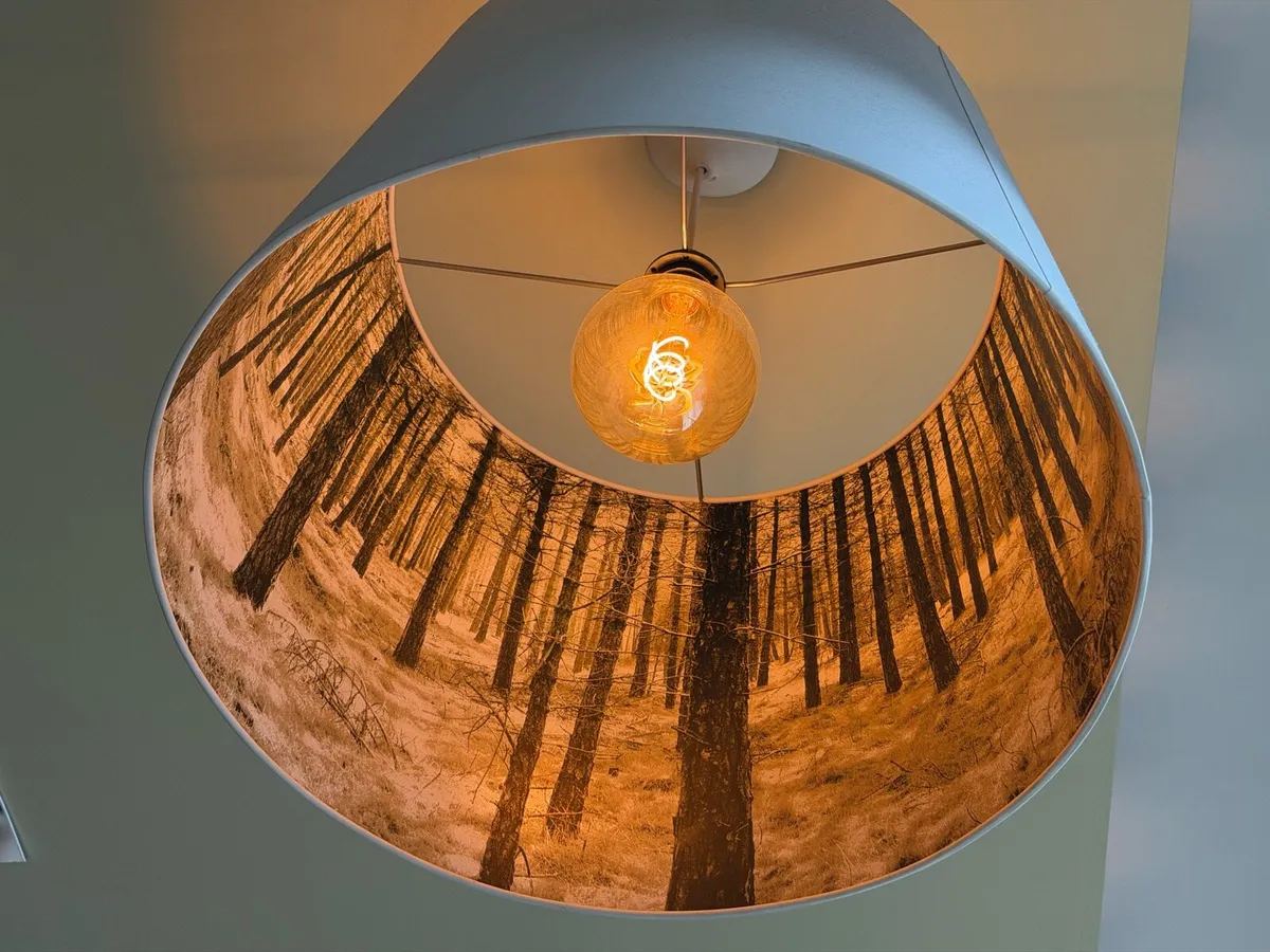 Lights and Shades - Image 4