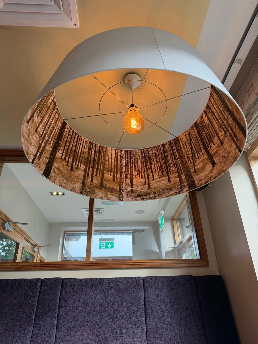 Lights and Shades - Image 1