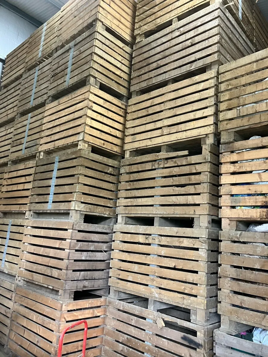 Boxes  / bagger - Image 1