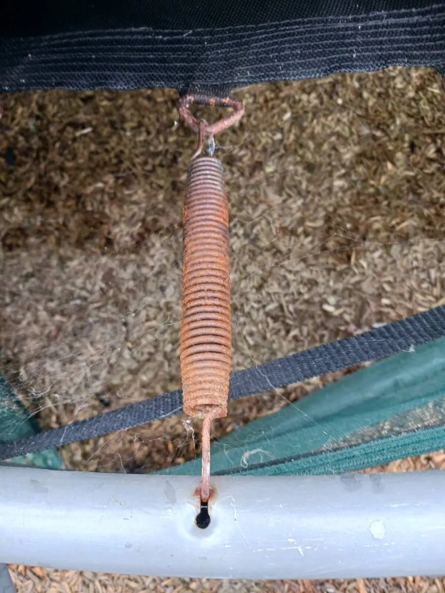 Free trampoline - Image 4