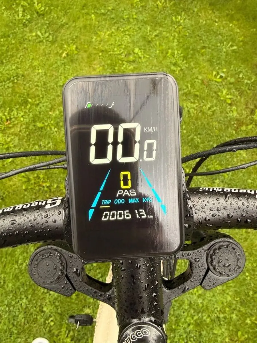 e bike - Image 3