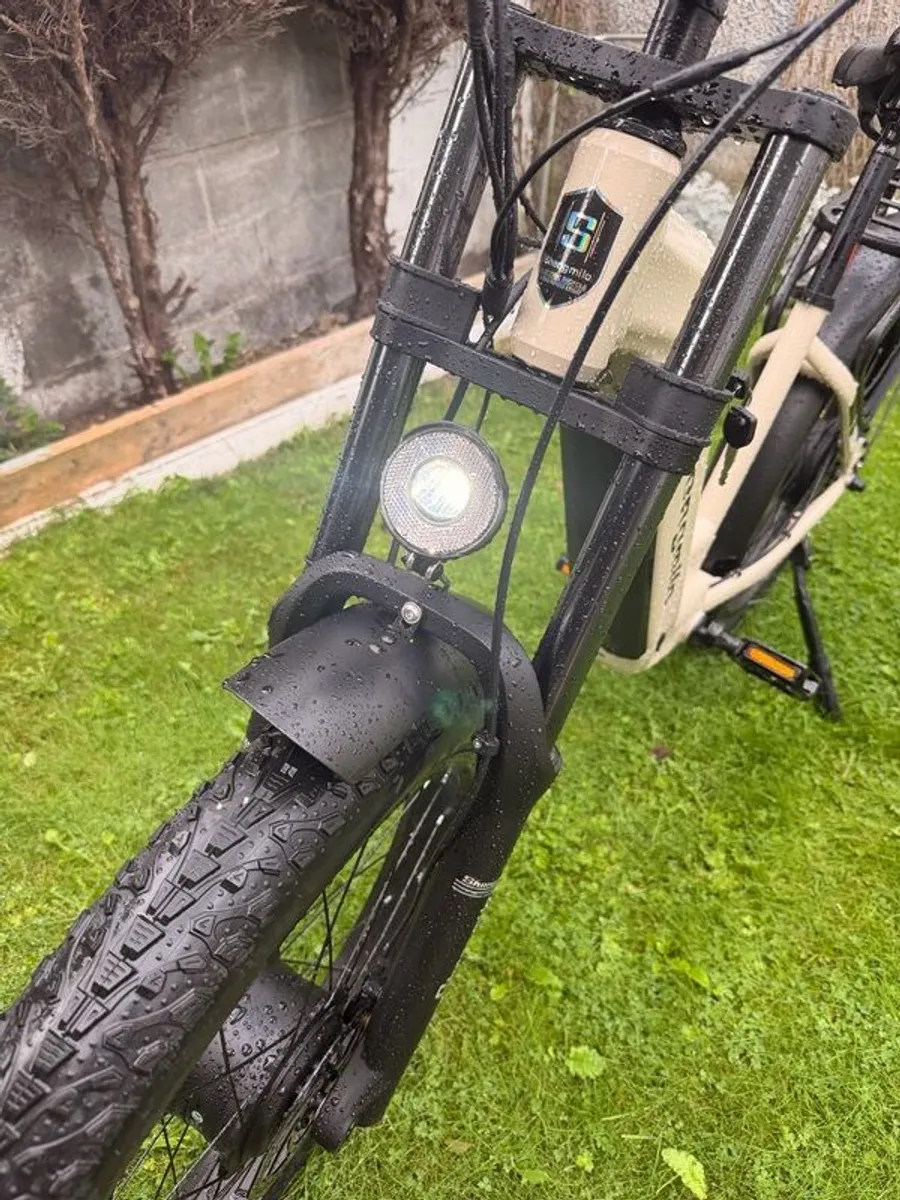 e bike - Image 4