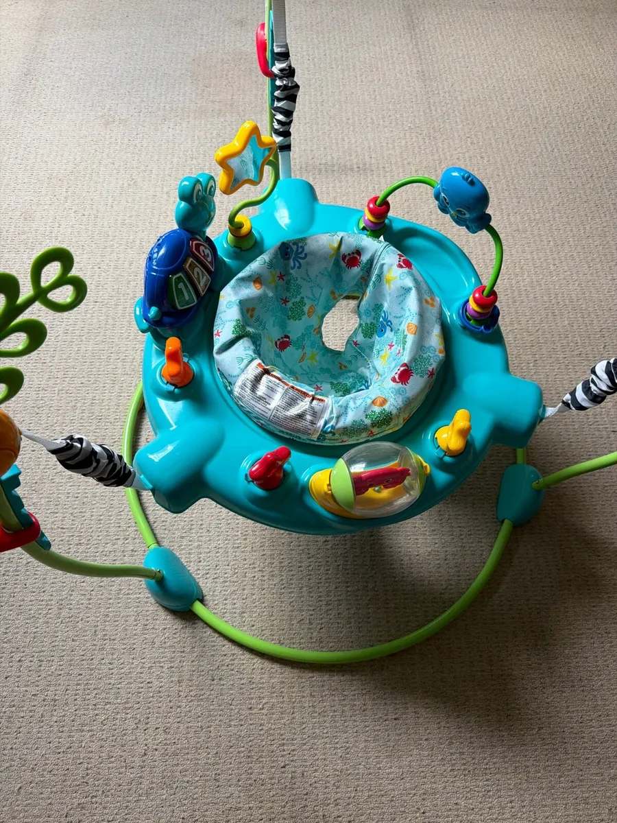 Baby Einstein Jumper - Image 1