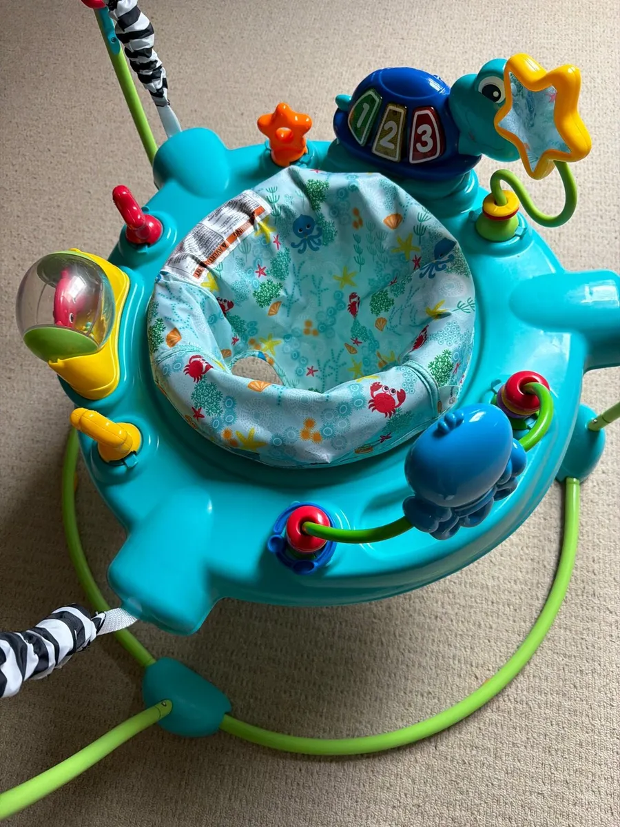 Baby Einstein Jumper - Image 4