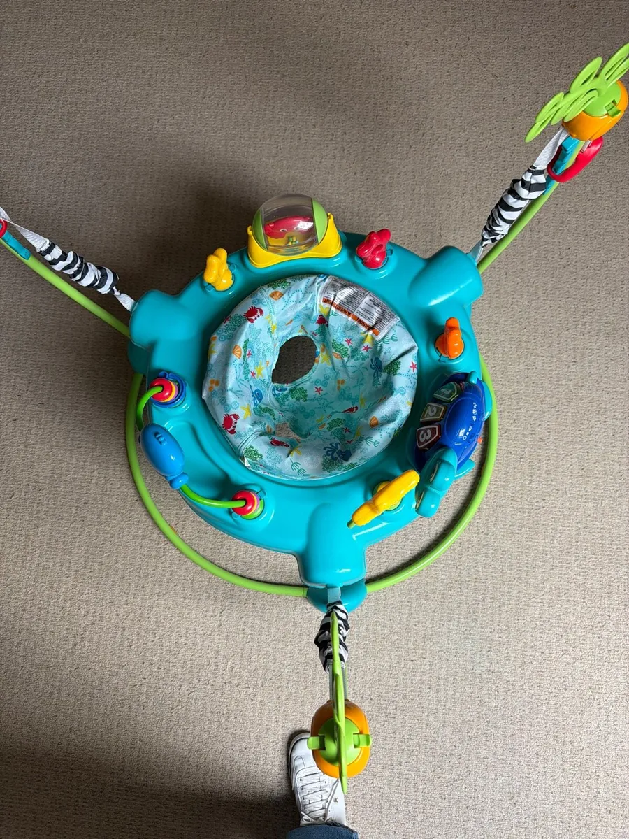 Baby Einstein Jumper - Image 3