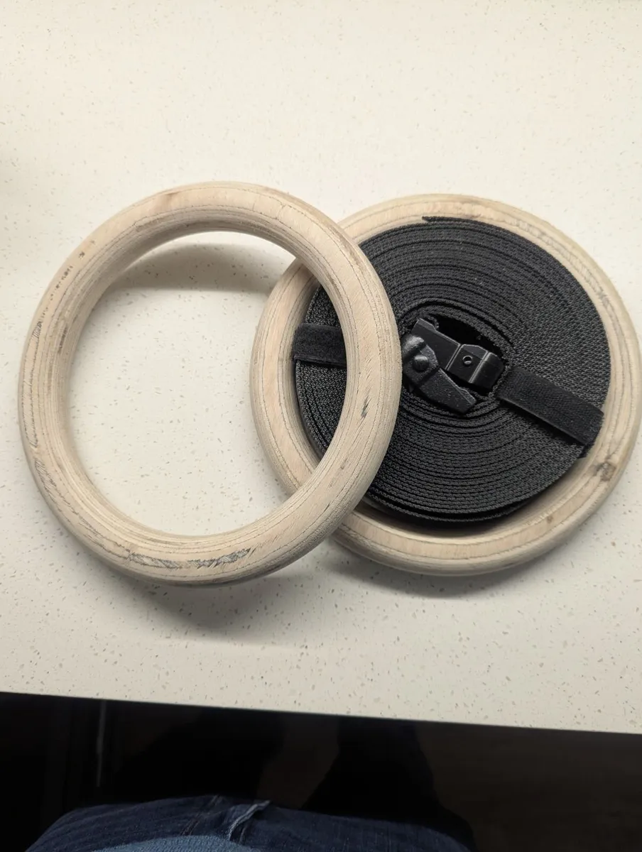 Gym Rings - Image 1