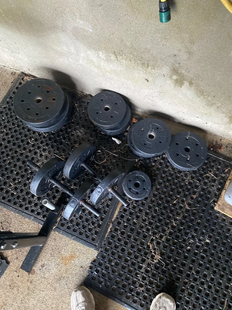 Weigh Bench - Image 2