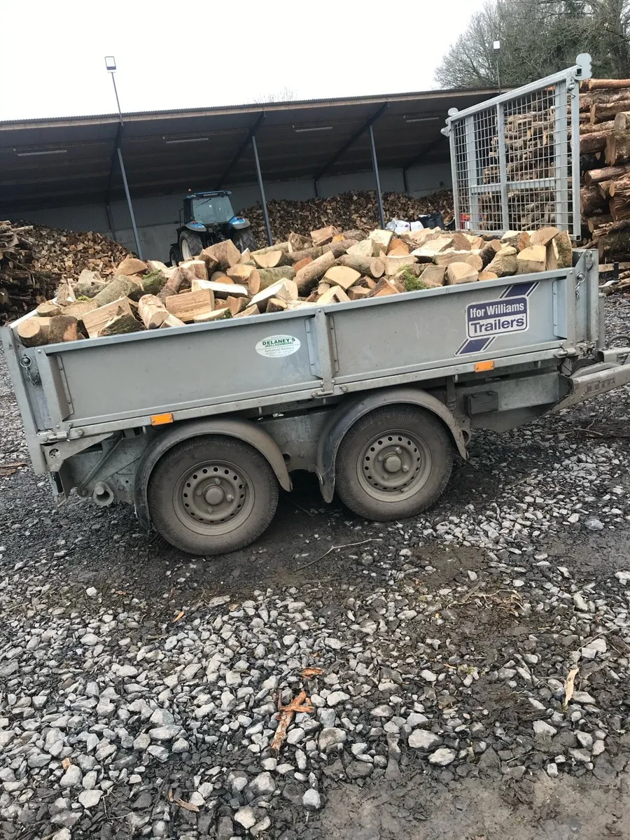 Hardwood firewood - Image 3