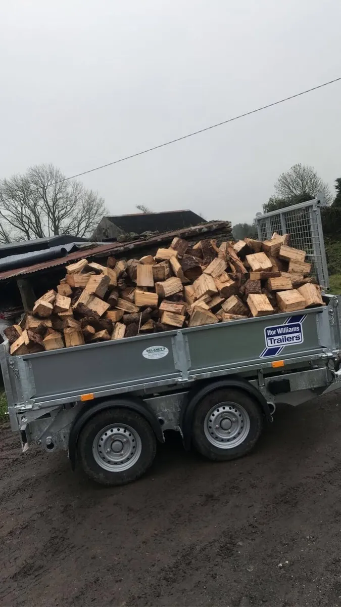 Hardwood firewood - Image 2