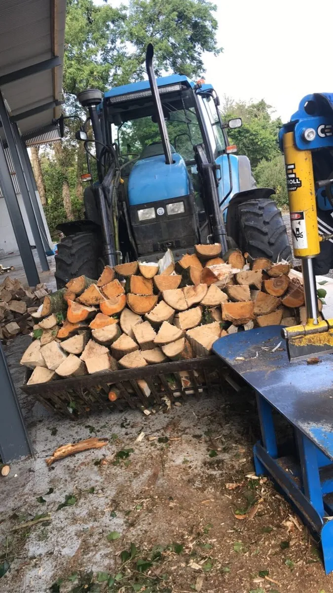 Hardwood firewood - Image 4