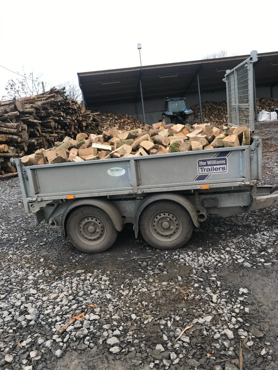 Stove firewood - Image 4