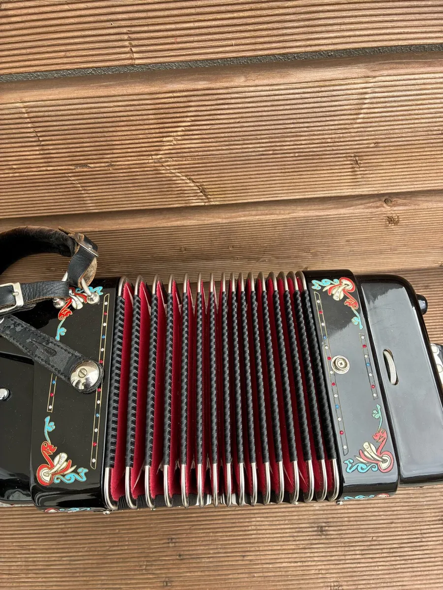 Accordion - Image 4
