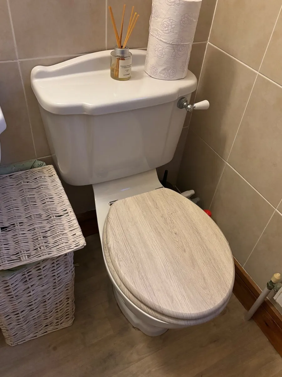 Sink & Toilet - Image 2