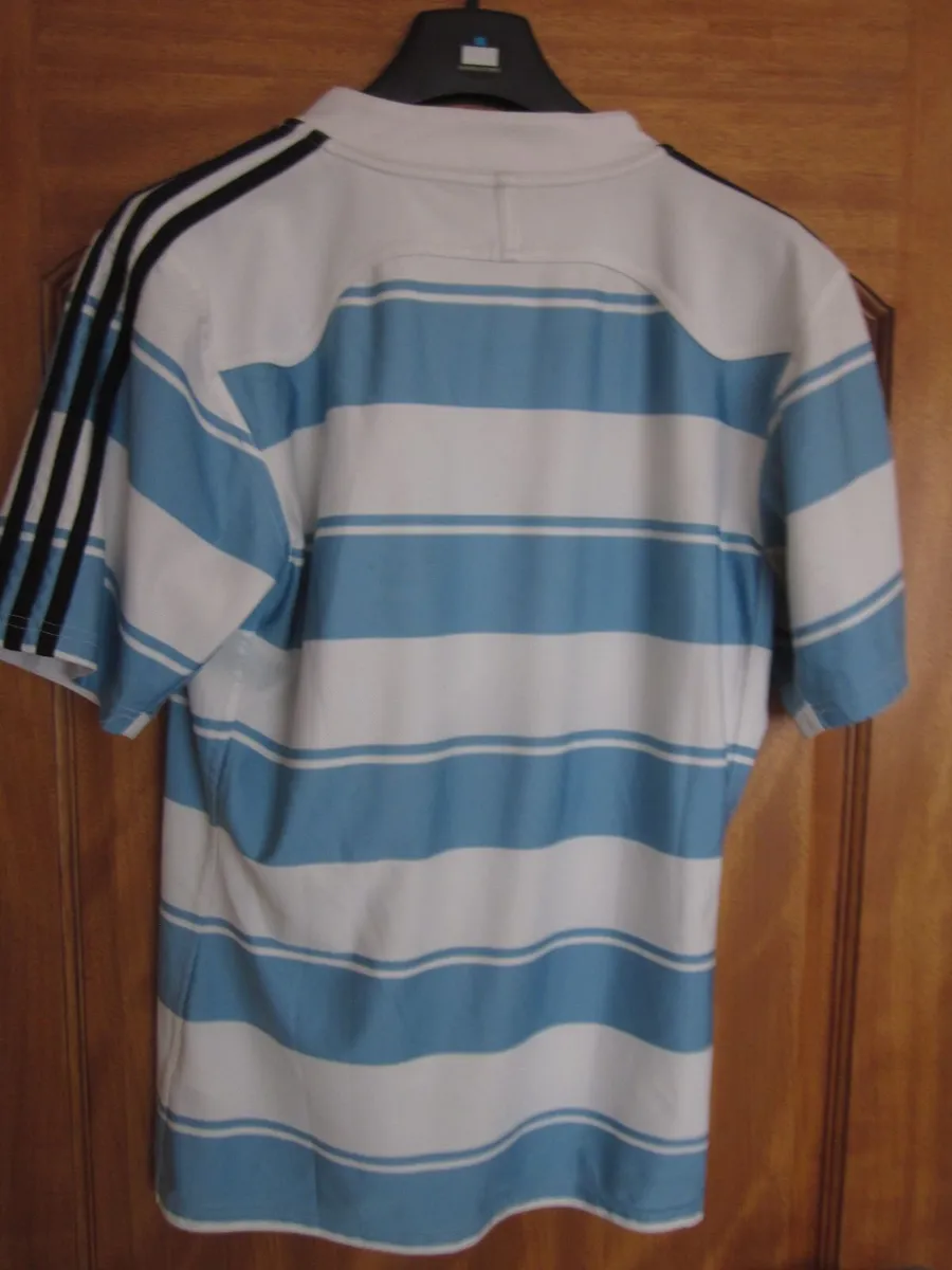 Argentina Rugby Union Home Jersey 2011 - Image 4