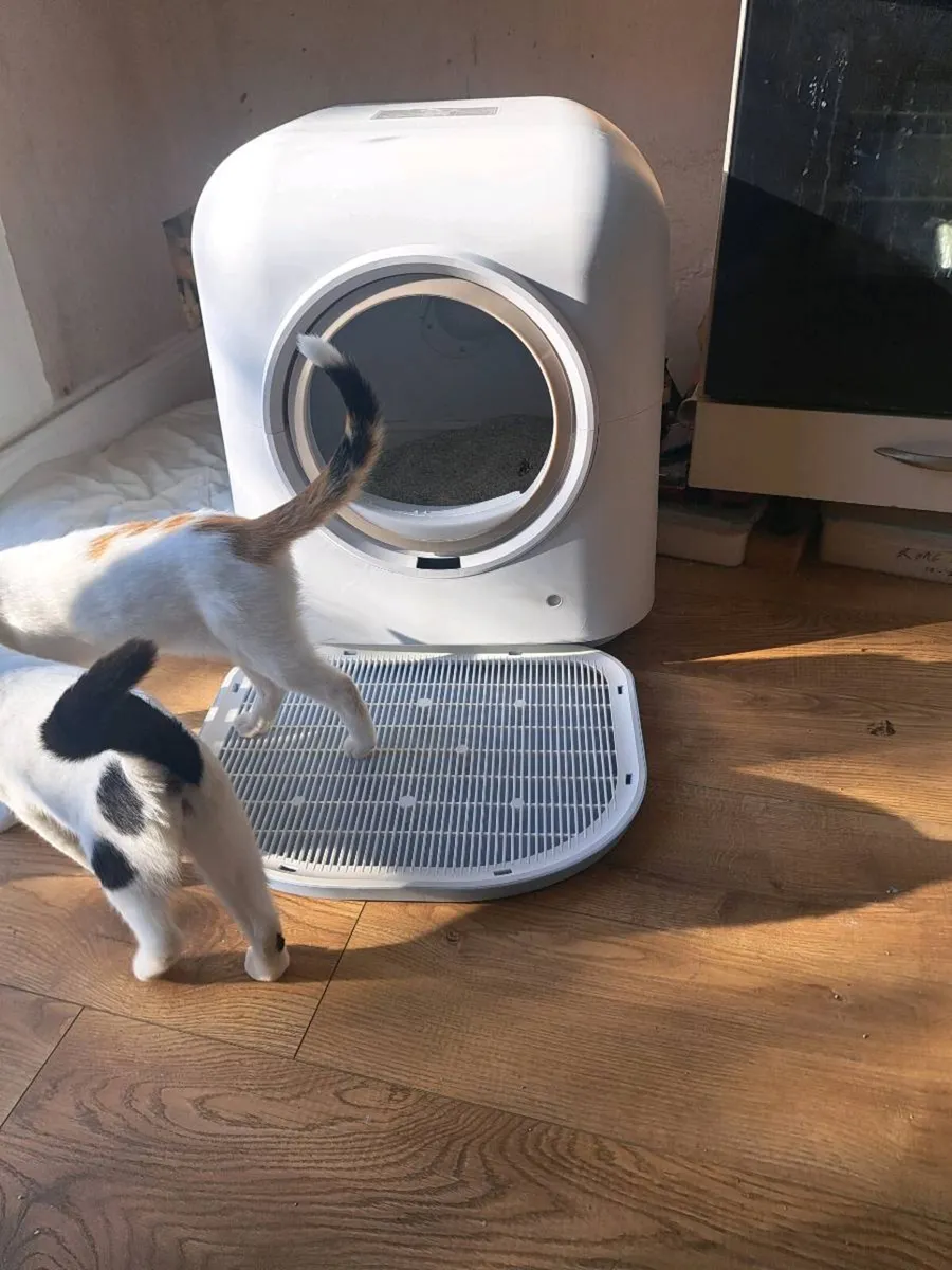 Automatic cat litter best 1 - Image 3
