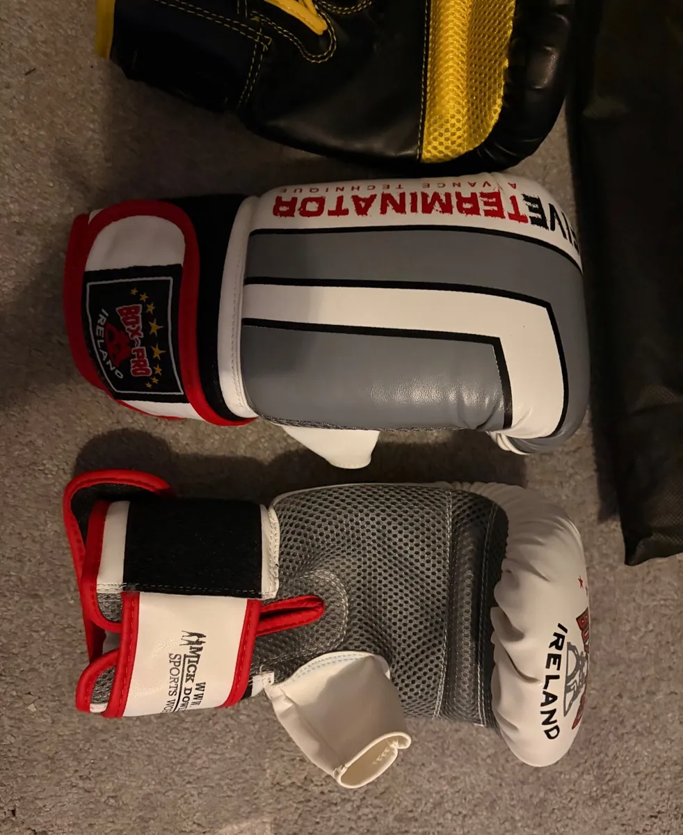 Boxing Free Standing Punch Bag + 2 Pairs gloves - Image 2