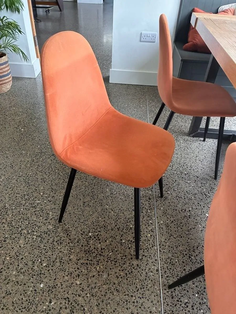 set of 3 burnt orange velvet chairs - Image 2