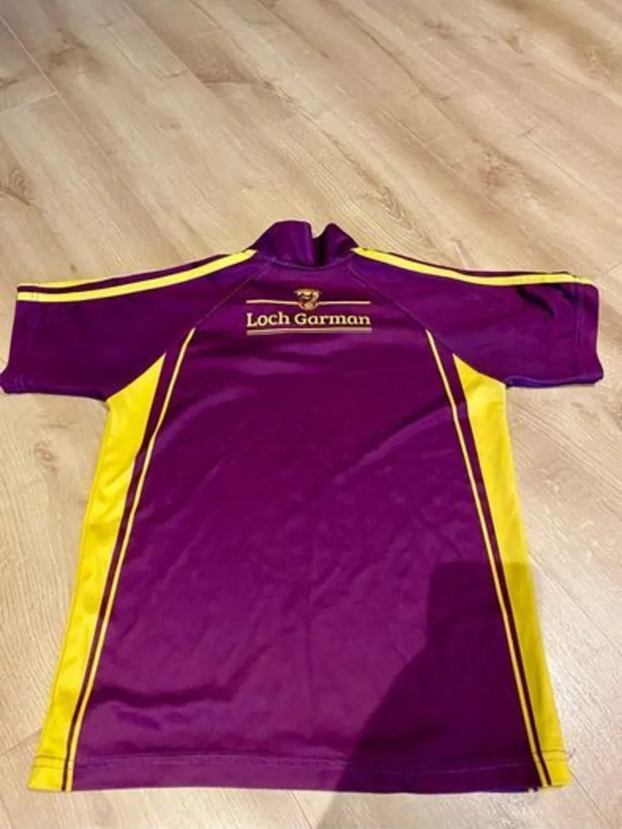 Wexford GAA - Image 2