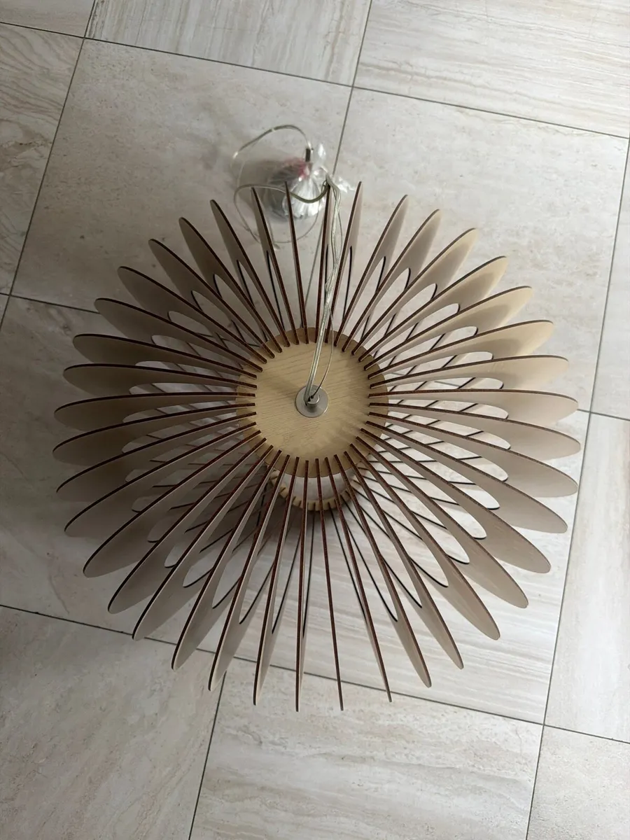 XL New Pendant Light - Image 2