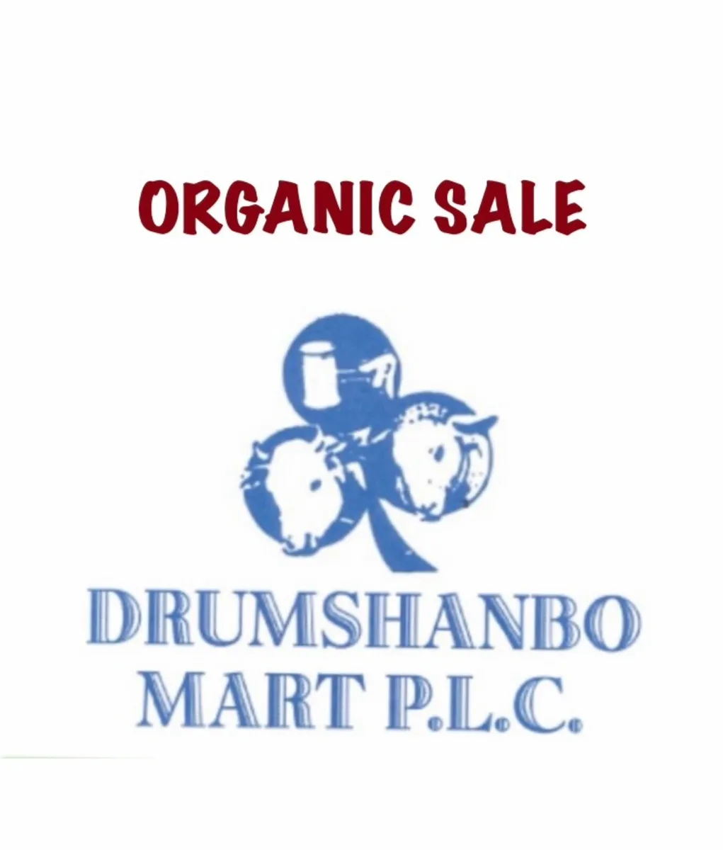 ORGANIC SALE OF CATTLE & SHEEP Sat. 19th Sept - Image 1