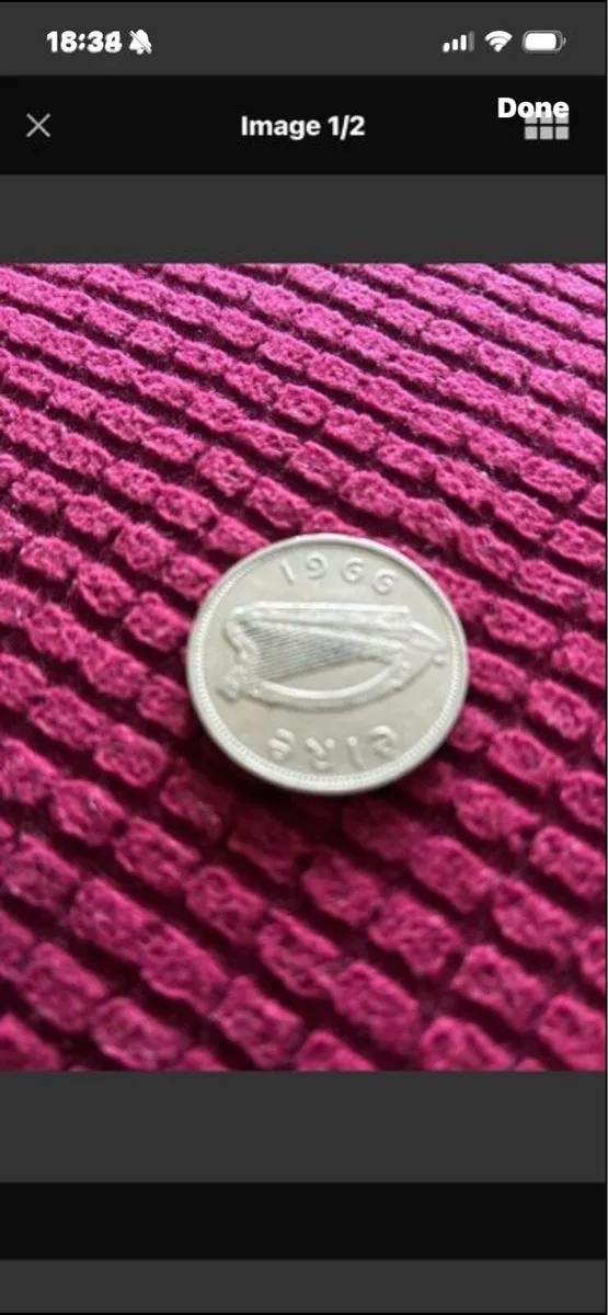 Irish Florin 1966 - Image 1