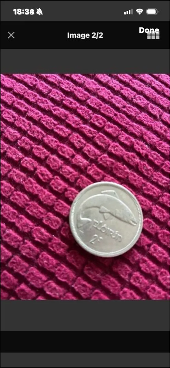 Irish Florin 1966 - Image 2
