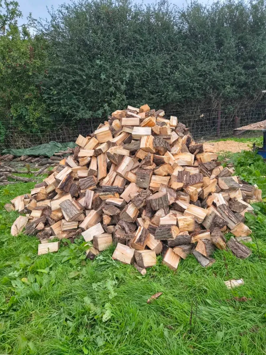 🔥 Firewood 🔥 - Image 2