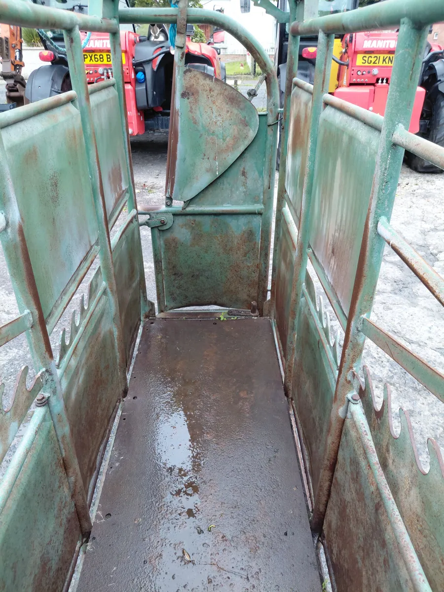 Cattle crush - Image 2