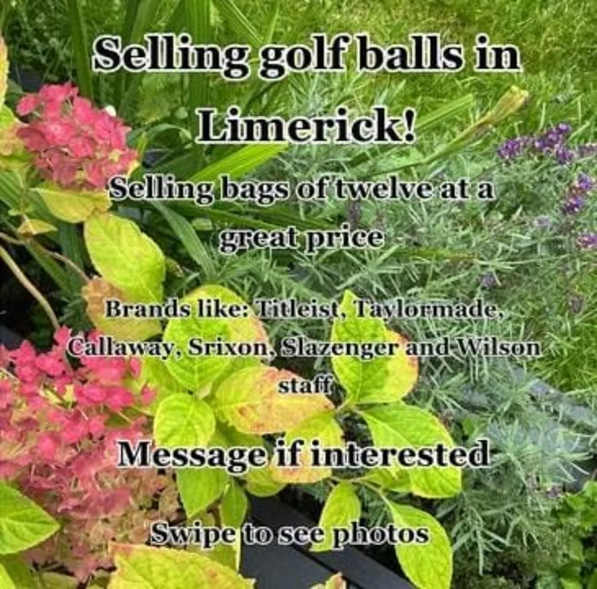 Golf balls bags of 12 - Image 1