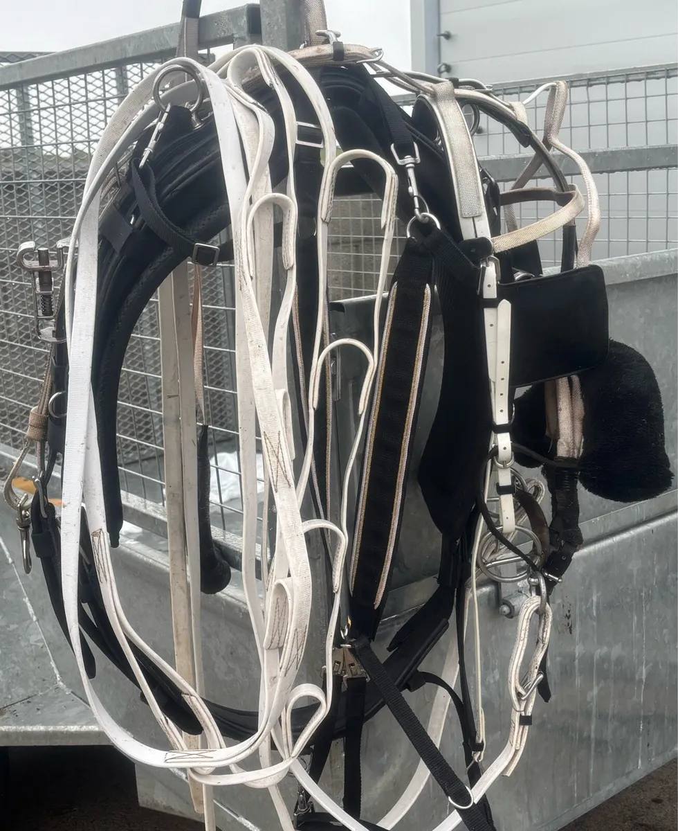 Good set Quick itch harness - Image 2