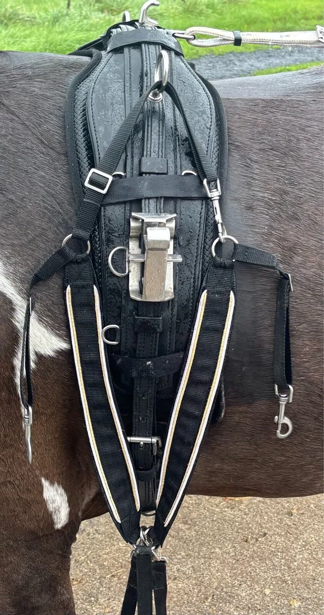 Good set Quick itch harness - Image 4