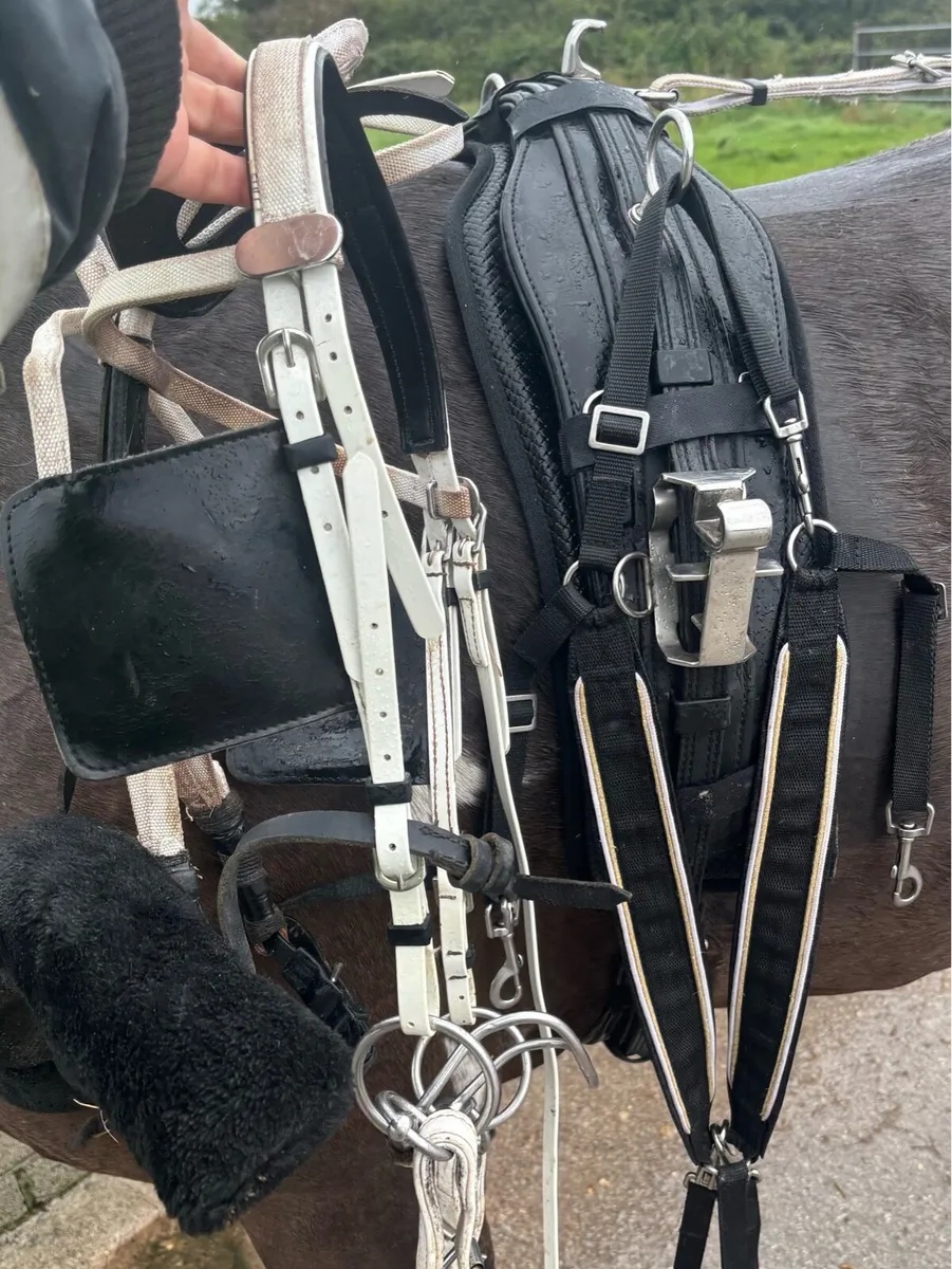 Good set Quick itch harness - Image 1