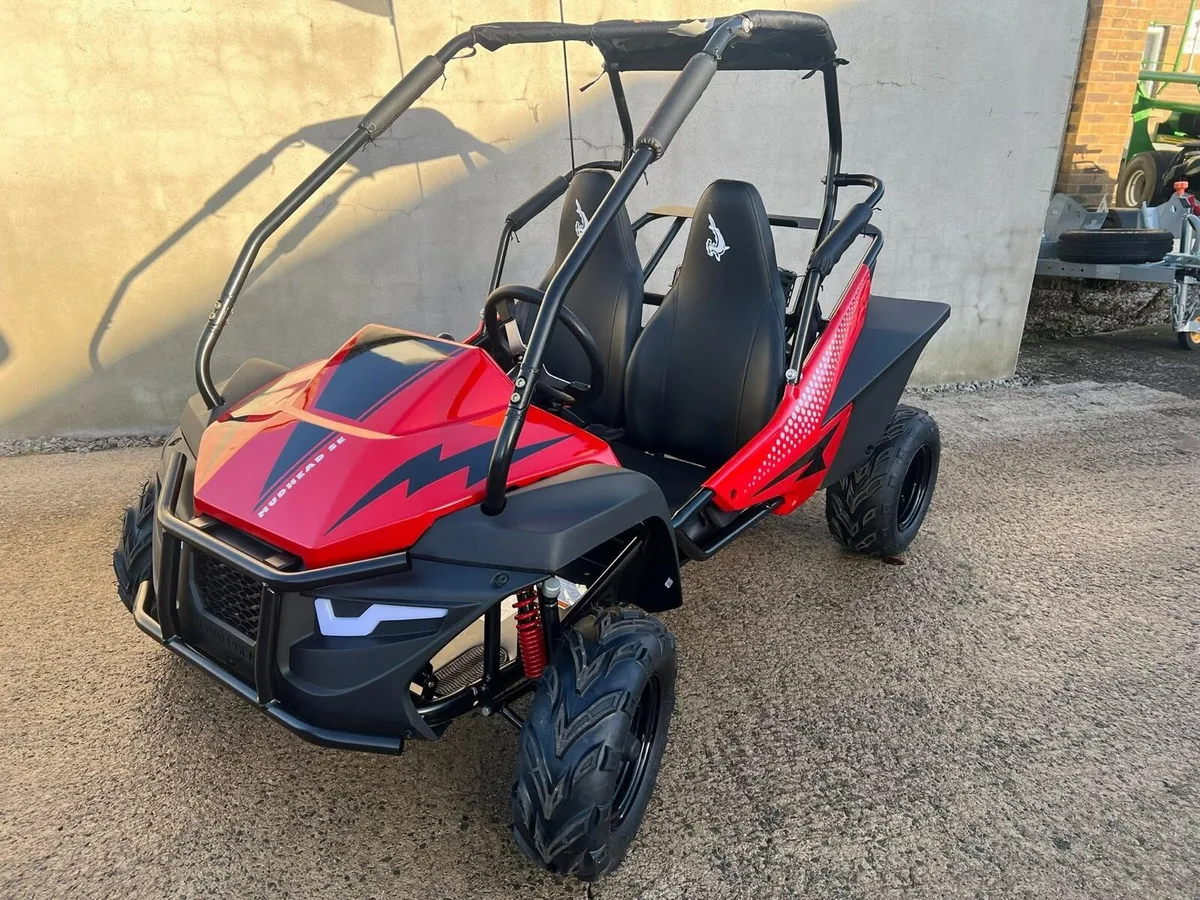 Buggies Buggies Buggies - Image 1